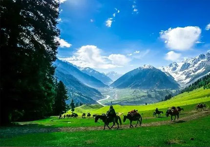 Chandigarh to Srinagar & Gulmarg Tour – Snow, Mountains & Meadows