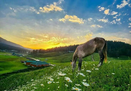 Amritsar to Katra & Patnitop Tour Package – Perfect Weekend Getaway