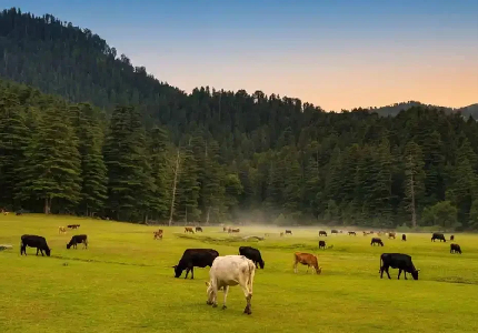 Amritsar to Dharamshala Manali Holiday Package