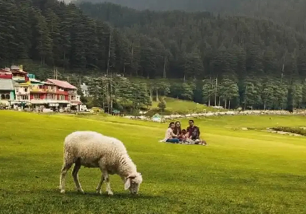 Amritsar to Dharamshala Manali Holiday Package