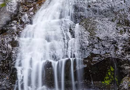 Best Dharamshala & Bir Billing Tour Package from Amritsar