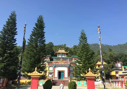 Dharamshala & McLeod Ganj Explorer