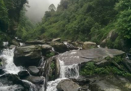 Dharamshala & McLeod Ganj Explorer