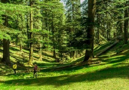 Dalhousie Wildlife Adventure