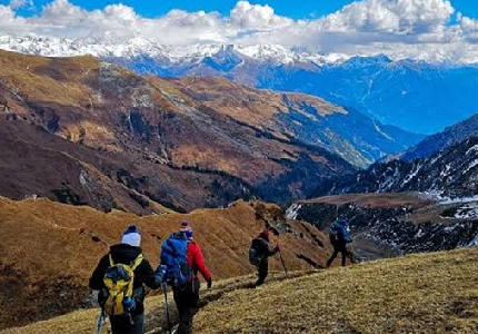 Dalhousie Wildlife Adventure