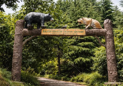 Dalhousie Wildlife Adventure