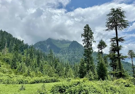 Manali Snow Escape – 3 Days