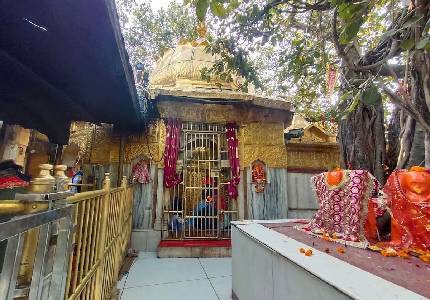 4 Devi Darshan Tour